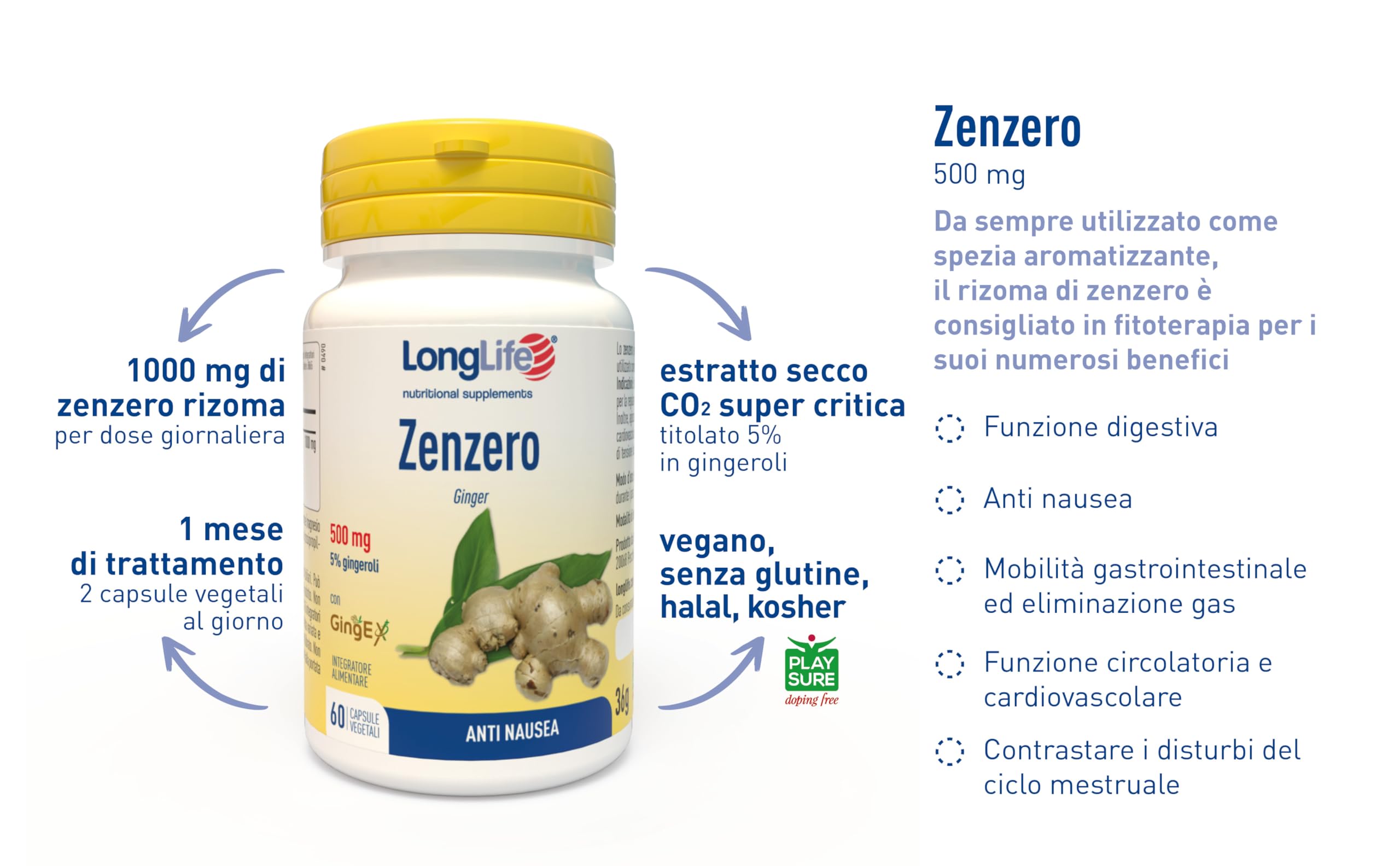 longlife-zenzero-con-gingex-estratto-5-gingeroli-60-capsule image 4