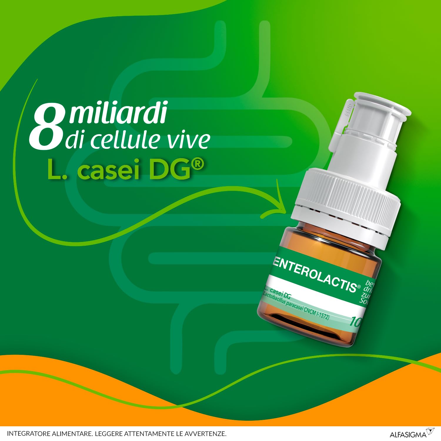 enterolactis-bevibile-fermenti-lattici-probiotici-12-flaconcini-gusto-fragola image 4