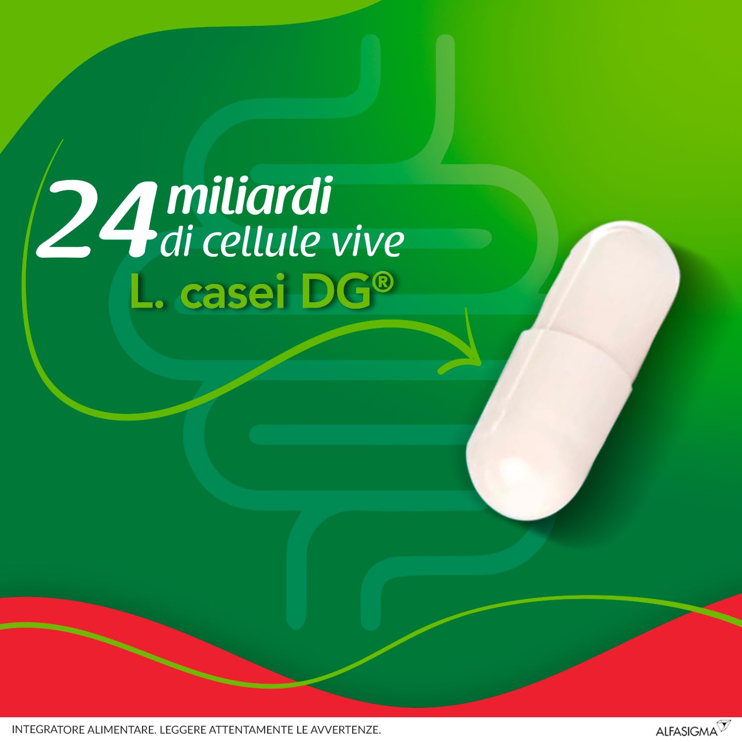 enterolactis-plus-probiotico-fermenti-lattici-15-capsule-l-casei-dg image 3