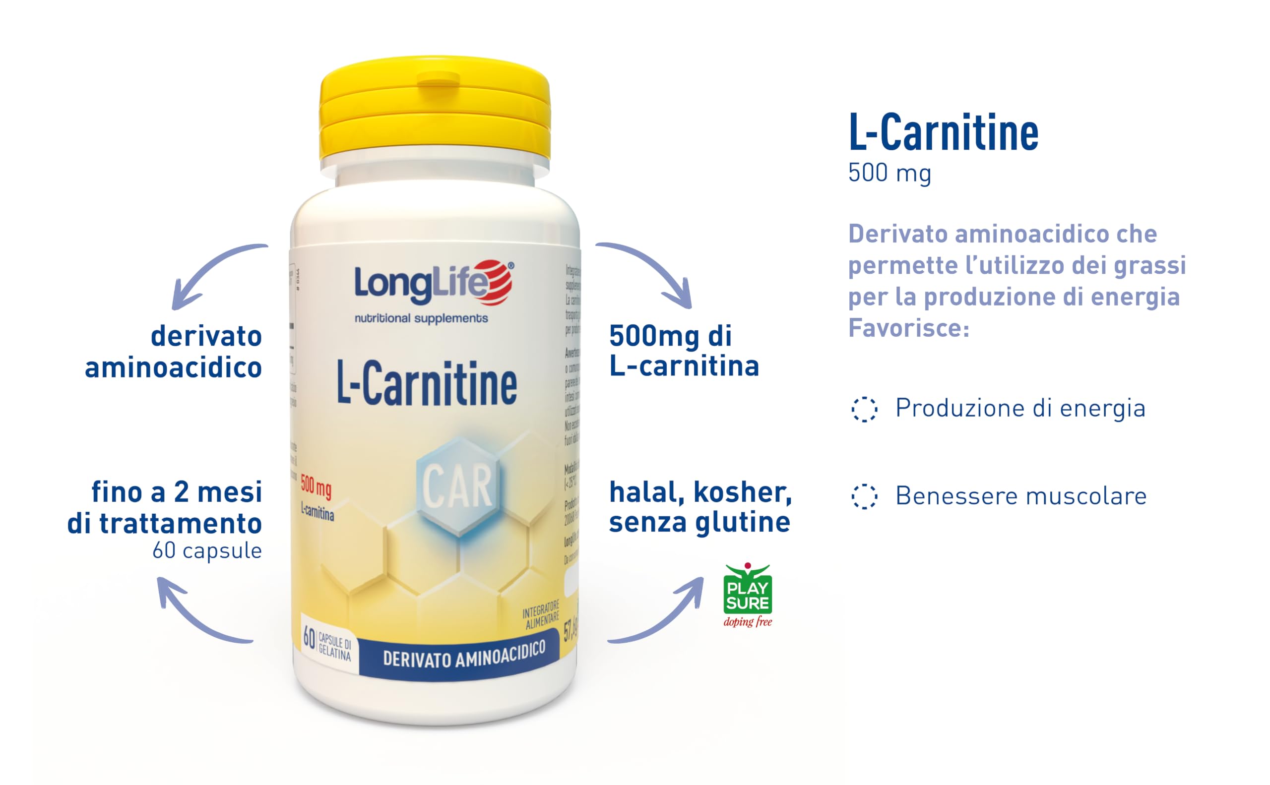 longlife-l-carnitine-500mg-integratore-in-capsule-60-capsule-energia-muscolare image 4