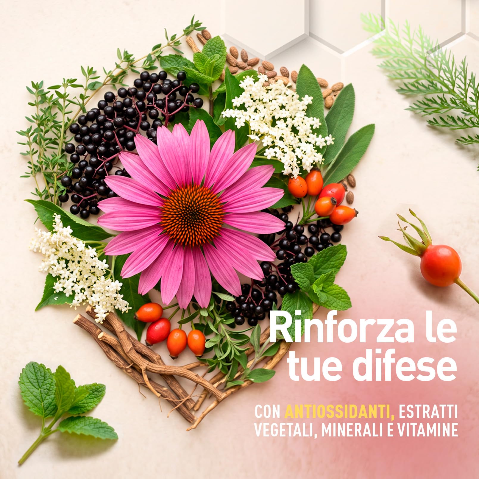 longlife-nutrimmune-integratore-difese-immunitarie-21-fattori-in-tavolette image 2