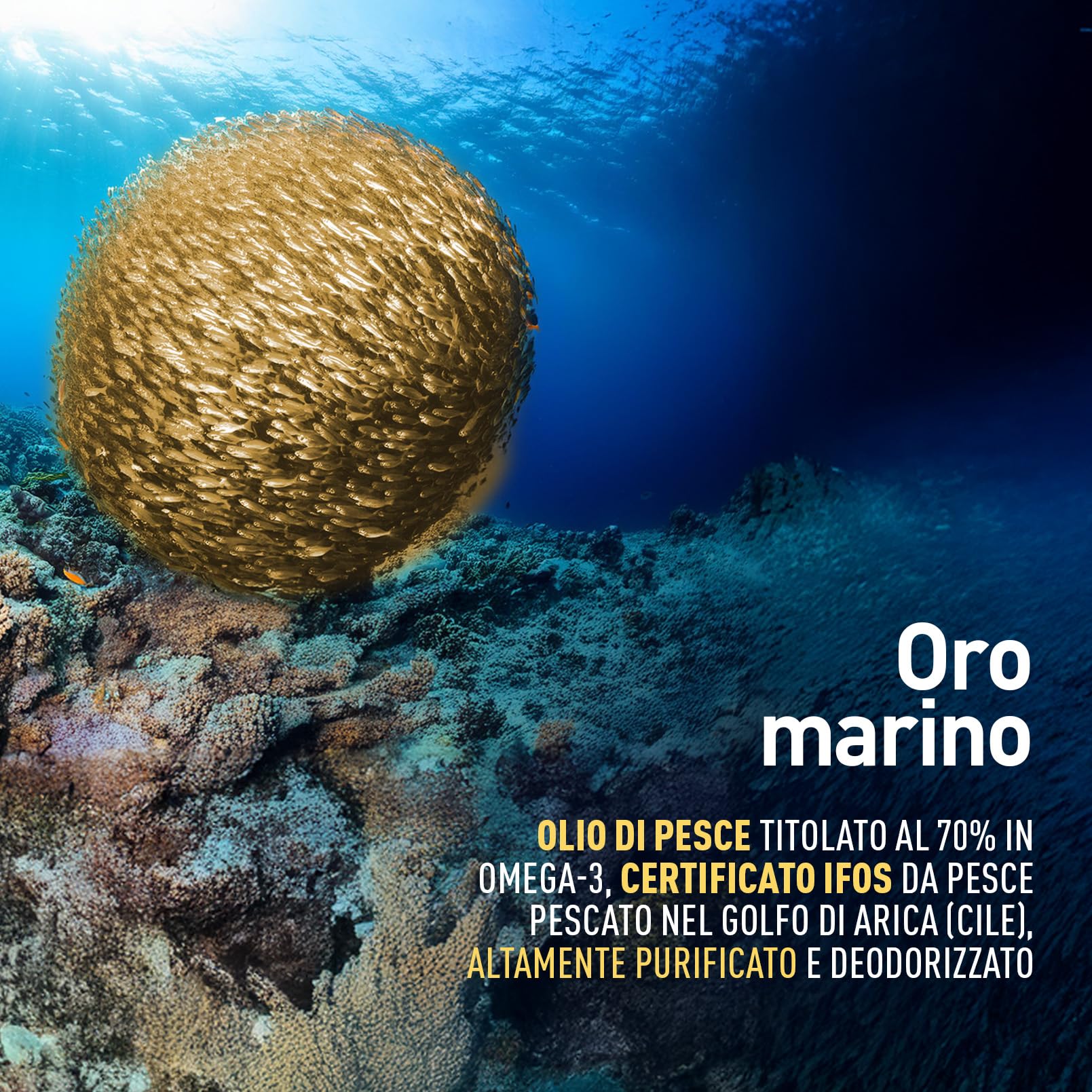 longlife-epa-dha-gold-omega-3-olio-di-pesce-70-in-perle image 2