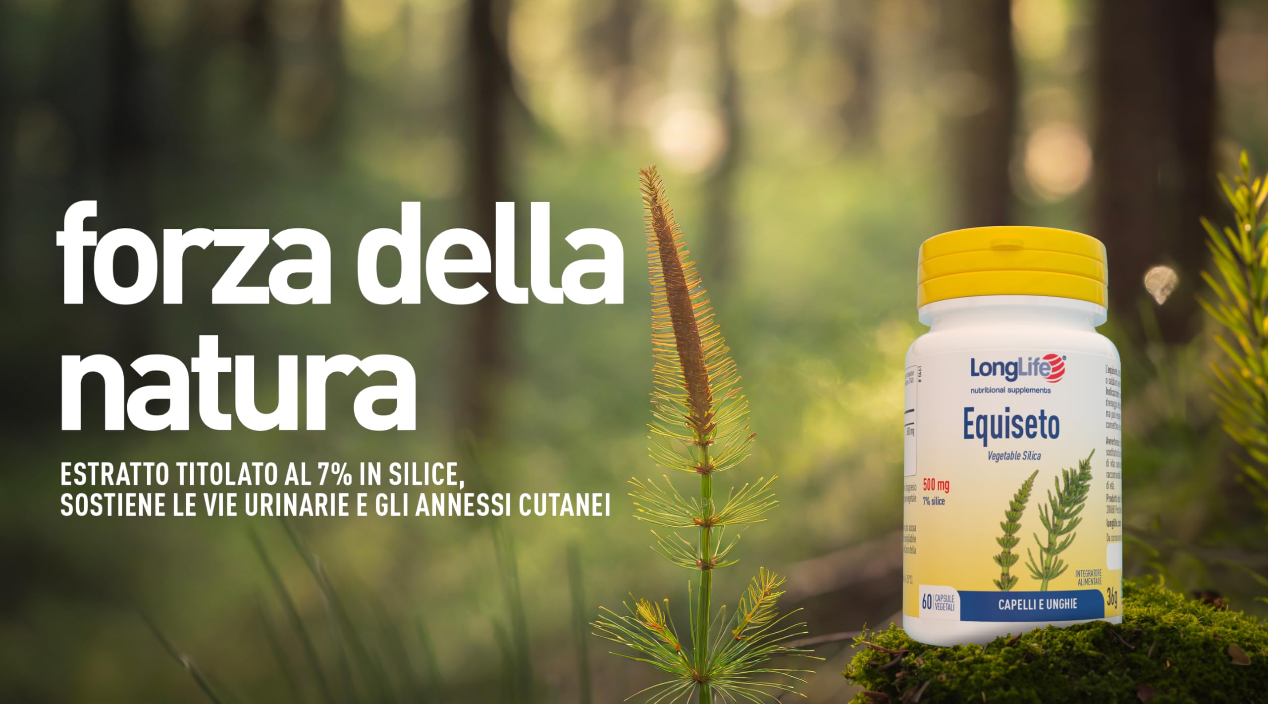 longlife-equiseto-500mg-integratore-silice-per-unghie-capelli-e-drenaggio-liquid image 2
