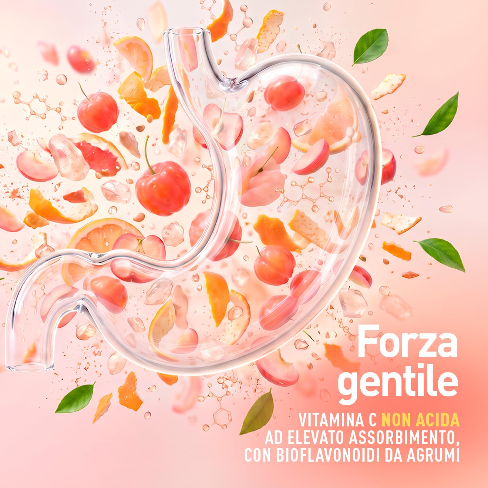 longlife-ester-c-vitamina-c-tamponata-1000mg-non-acida-con-acerola-e-bioflavonoi image 2