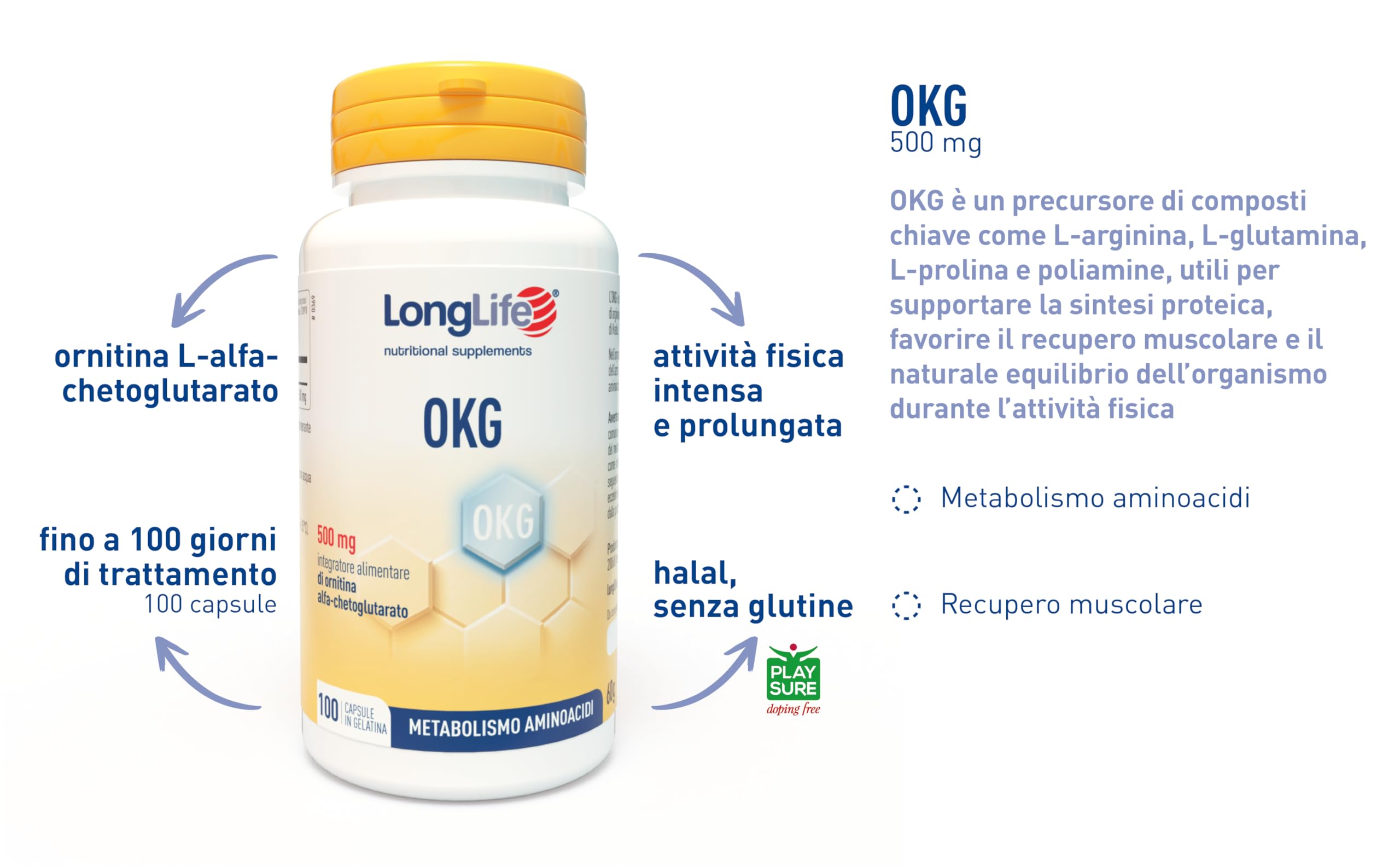 longlife-okg-ornitina-alfa-chetoglutarato-100-capsule-recupero-muscolare image 4