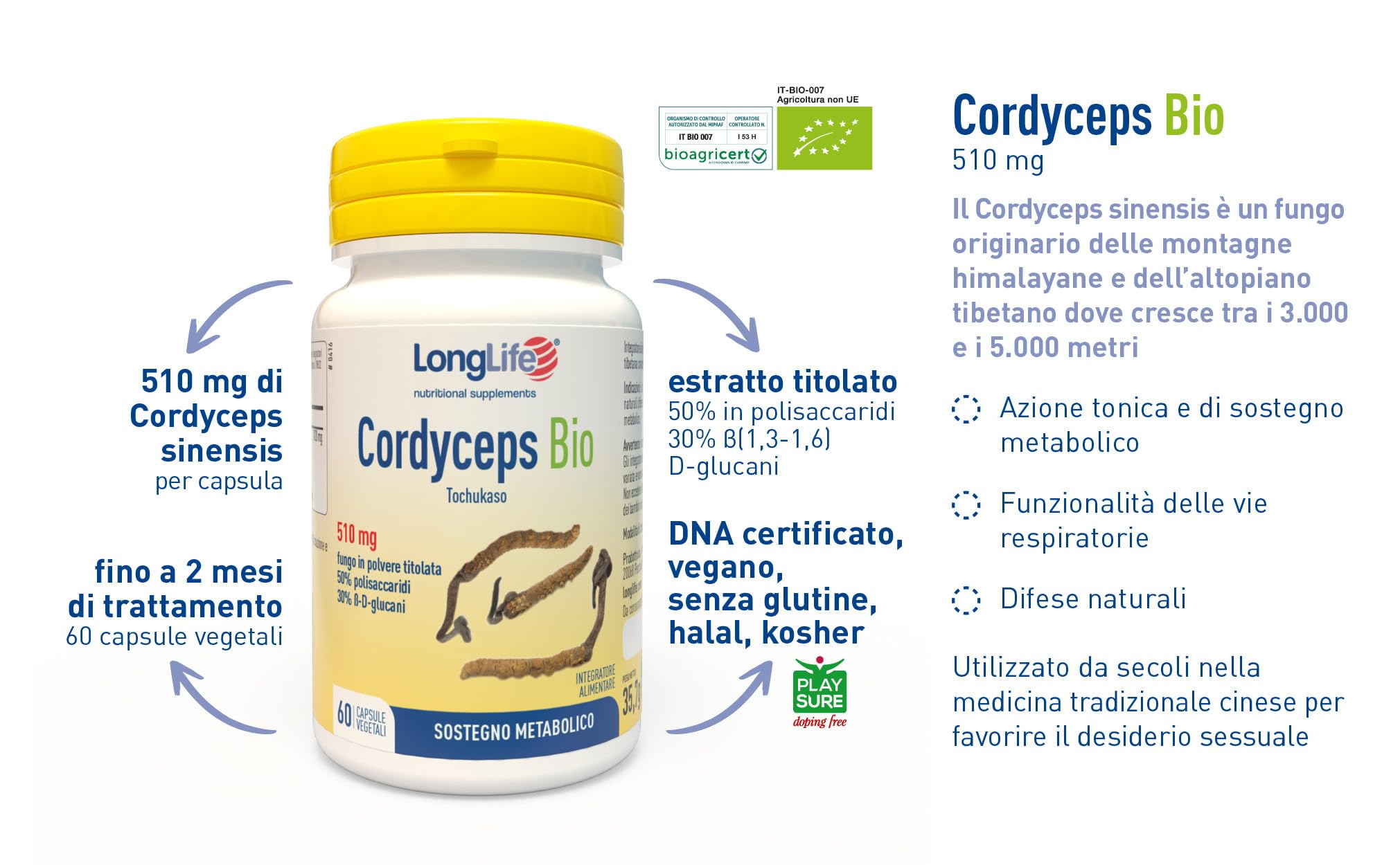 longlife-cordyceps-bio-energia-e-vitalit-60-capsule-vegetali image 4