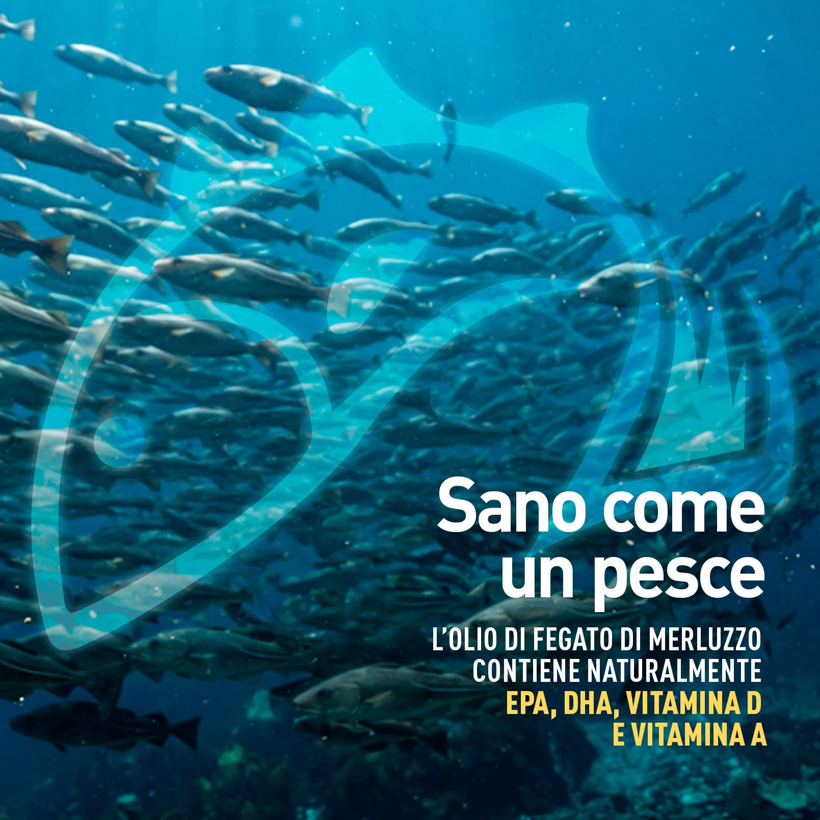 longlife-olio-di-fegato-di-merluzzo-500mg-perle-omega-3-epa-dha-vitamina-a-d3 image 2