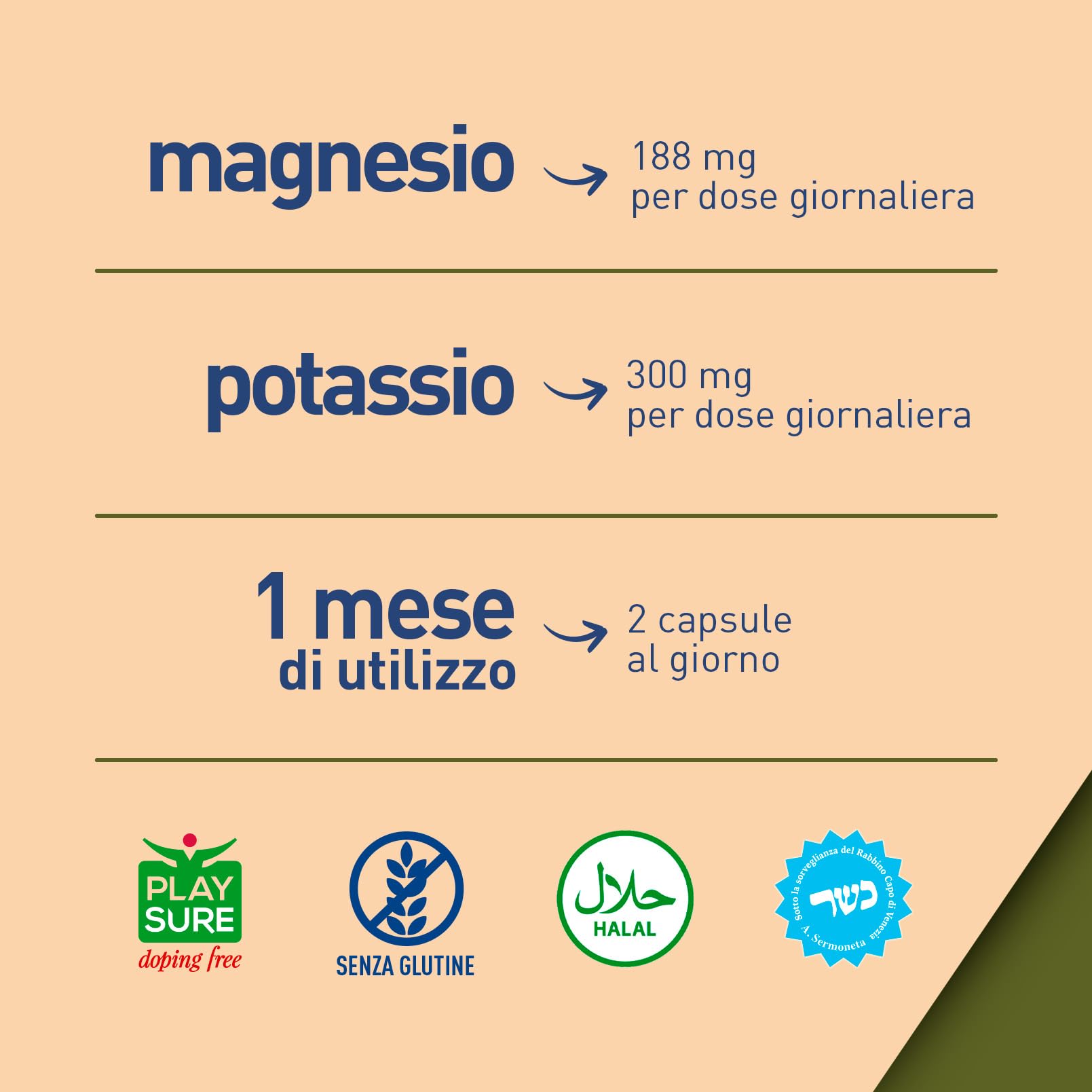 longlife-magnesium-k-integratore-magnesio-e-potassio-citrato-per-muscoli-e-energ image 5